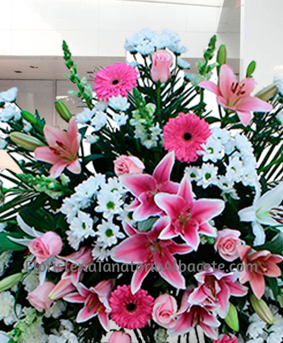Envio de flores para los tanatorios de Albacete