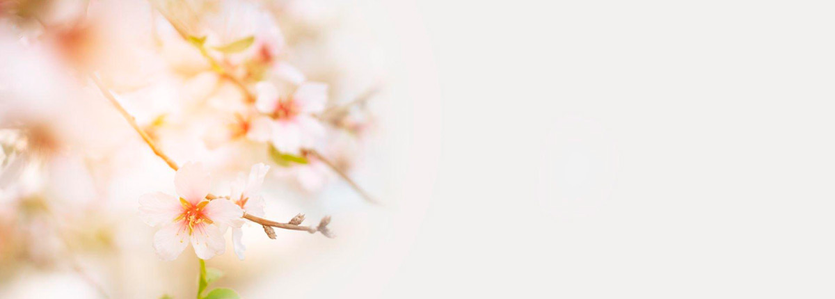 Flores para los tanatorios de Albacete